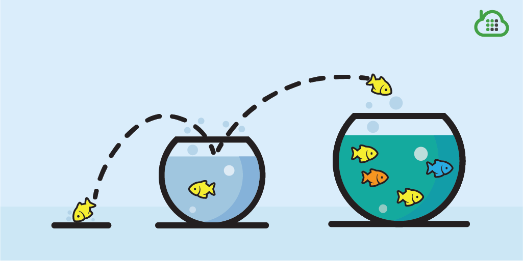 6 Ways to Retain Your Customers While Migrating SMS Phone Numbers