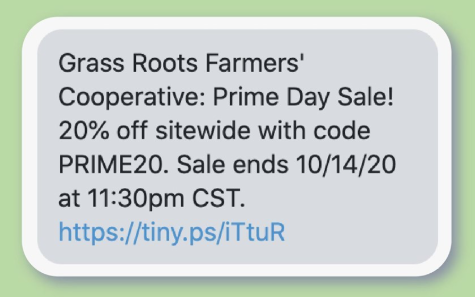 Image showing an SMS alert for a time-sensitive flash sale offer.