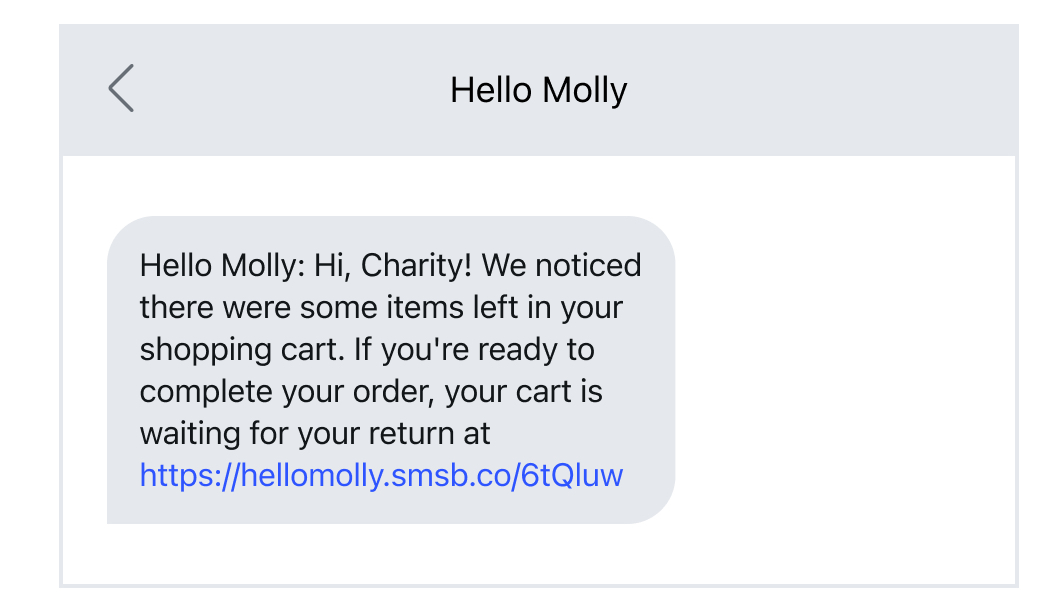 Cart reminder message from Hello Molly 